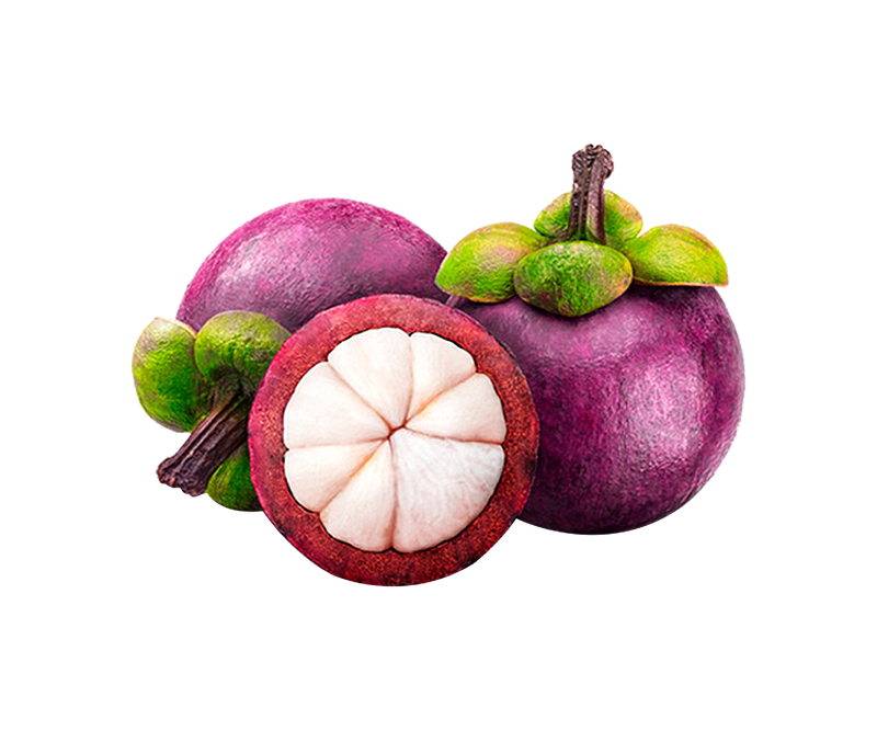 Mangosteen Fruit Green Pack Traders